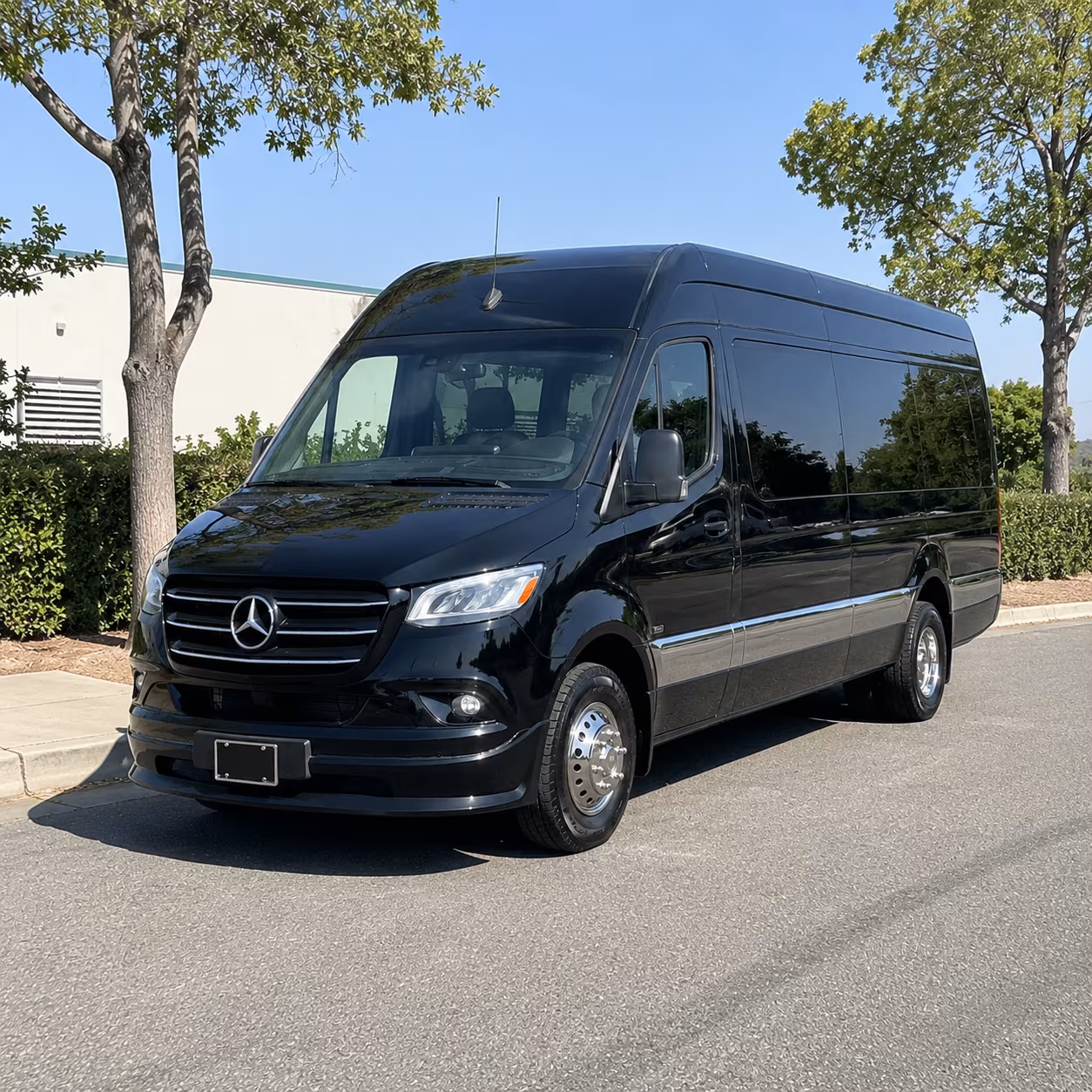 st petersburg school event transportation