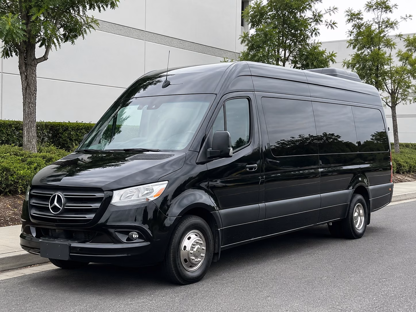 st petersburg sprinter limousine